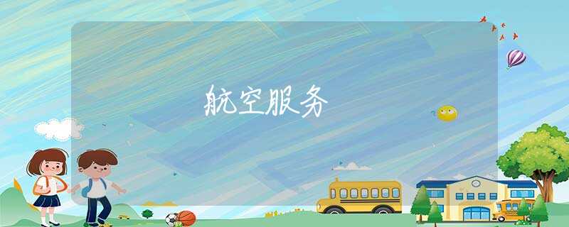 航空服务 航空服务