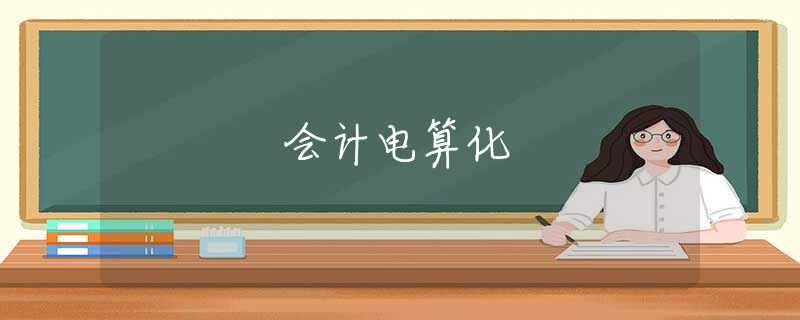 会计电算化 会计电算化