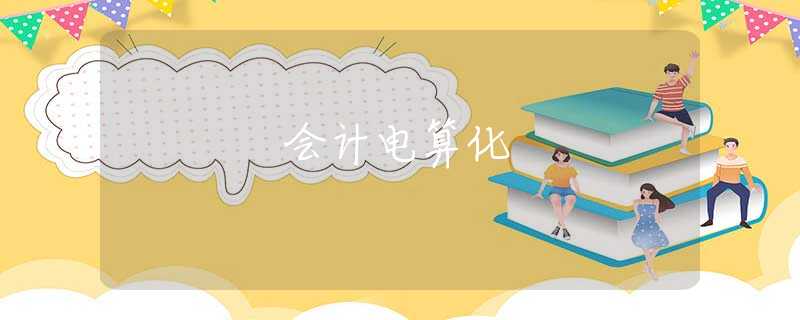会计电算化 会计电算化
