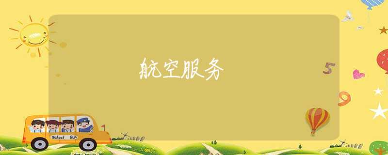 航空服务 航空服务