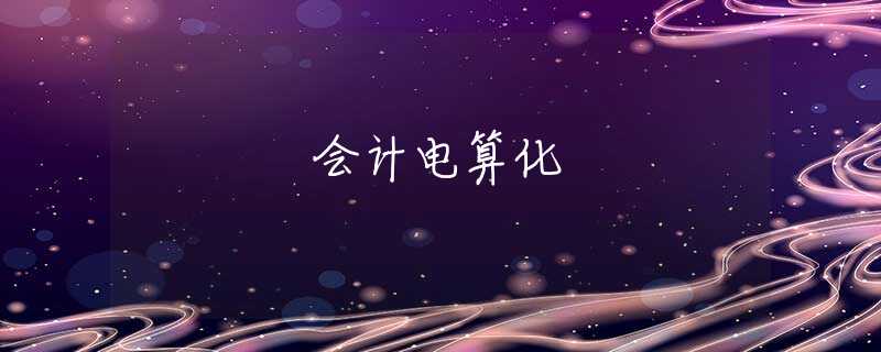 会计电算化 会计电算化