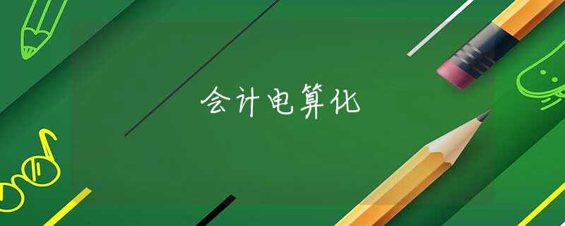 会计电算化 会计电算化