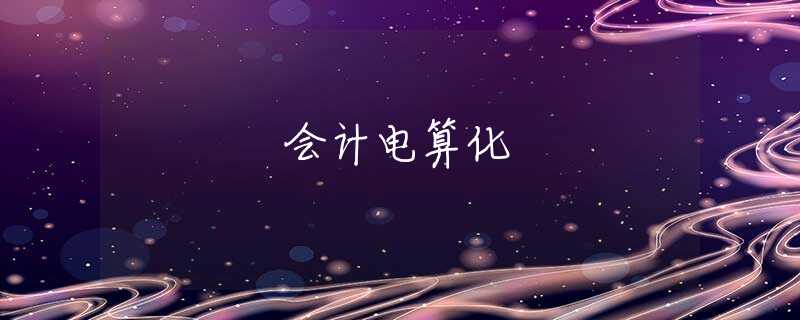 会计电算化 会计电算化