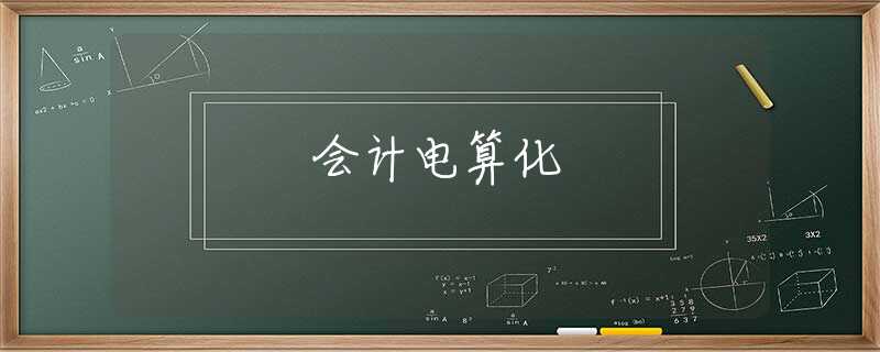 会计电算化 会计电算化