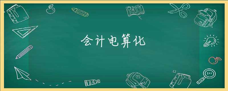 会计电算化 会计电算化