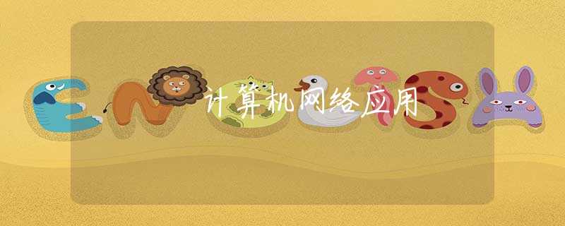 计算机网络应用