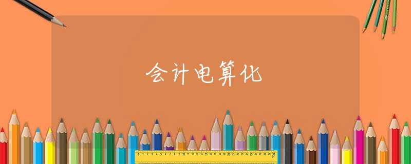 会计电算化 会计电算化