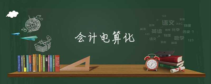 会计电算化 会计电算化