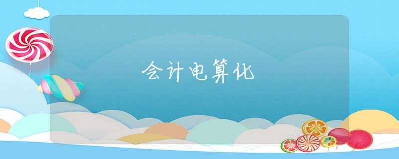 会计电算化 会计电算化