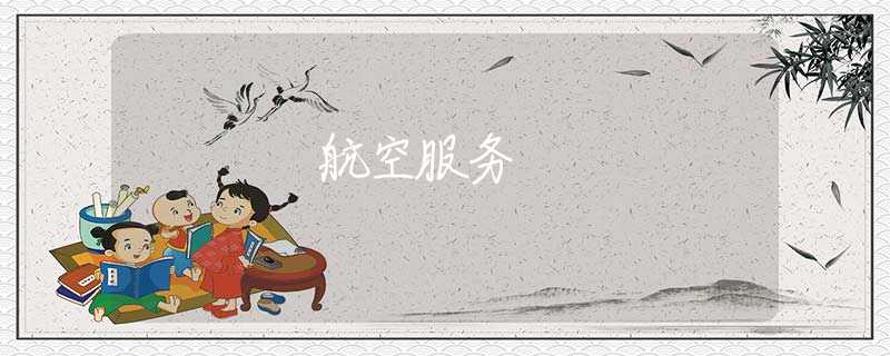 航空服务 航空服务
