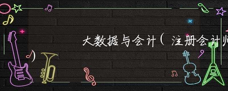 大数据与会计(注册会计师)