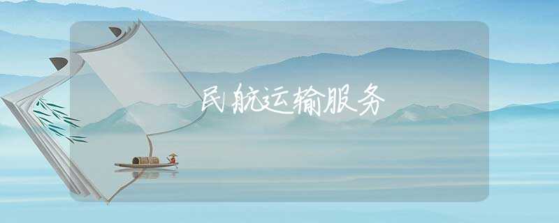 民航运输服务 民航运输服务