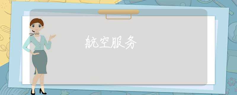 航空服务 航空服务