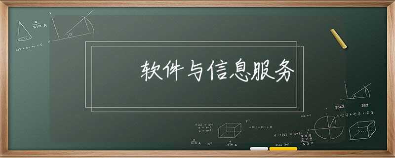 软件与信息服务