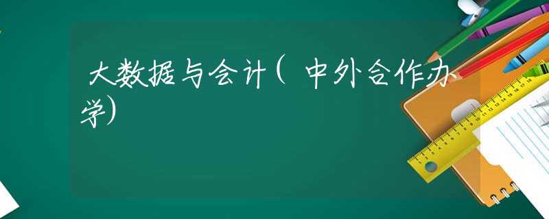 大数据与会计(中外合作办学) 大数据与会计(中外合作办学)