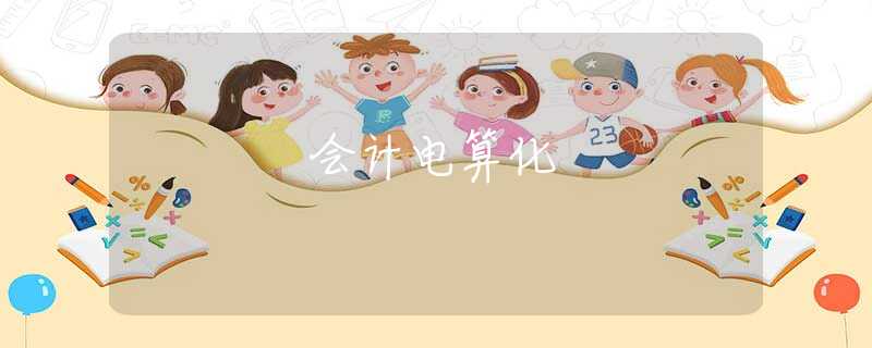 会计电算化 会计电算化