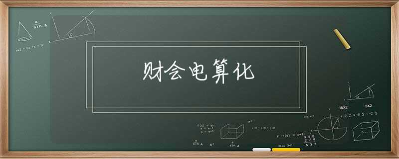 财会电算化 财会电算化