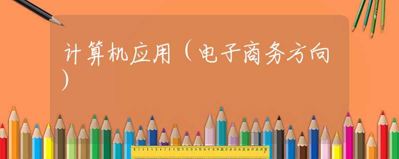 计算机应用(电子商务方向) 计算机应用(电子商务方向)