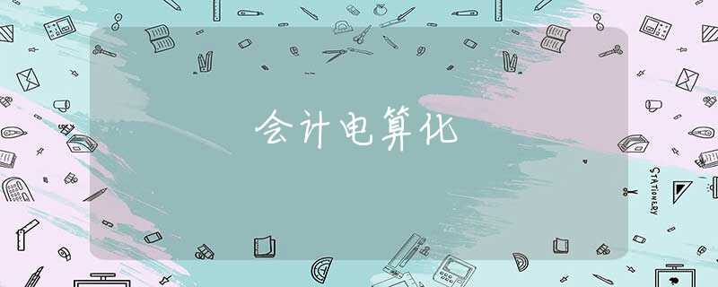 会计电算化 会计电算化