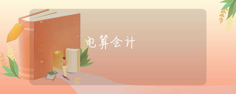 电算会计 电算会计