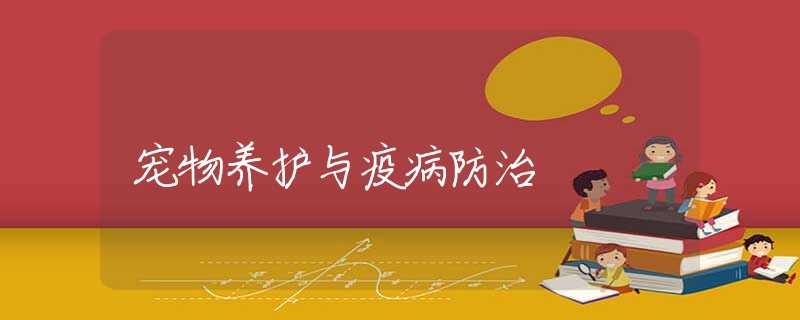 宠物养护与疫病防治