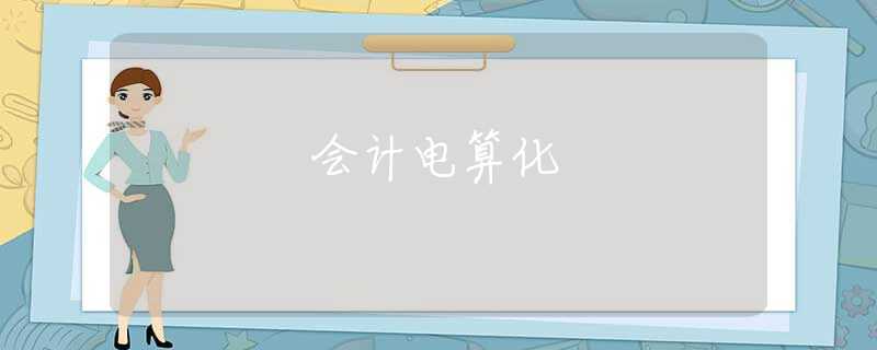 会计电算化 会计电算化