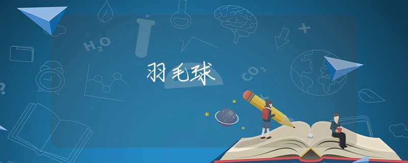 羽毛球