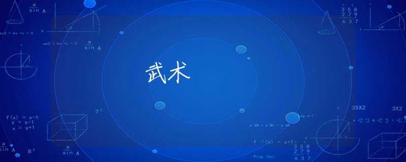 武术 武术