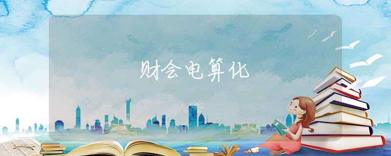 财会电算化 财会电算化