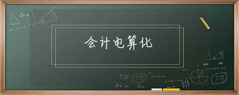 会计电算化 会计电算化