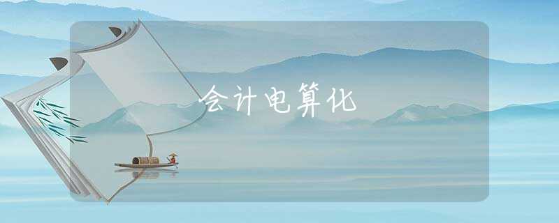会计电算化 会计电算化