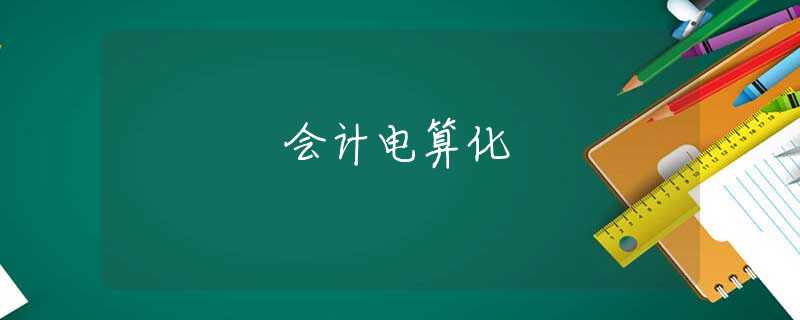 会计电算化 会计电算化
