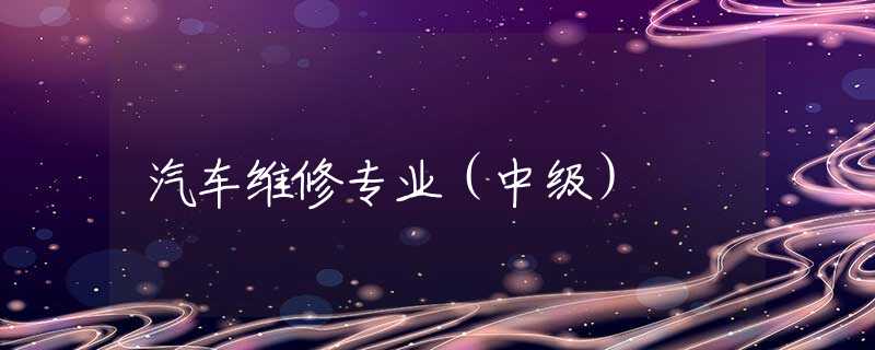 汽车维修专业(中级) 汽车维修专业(中级)