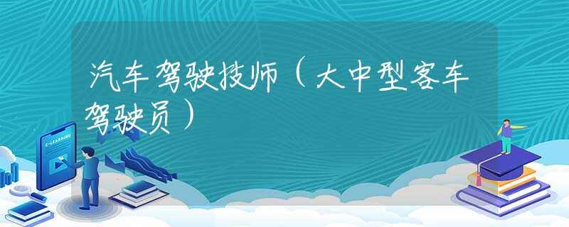汽车驾驶技师(大中型客车驾驶员) 汽车驾驶技师(大中型客车驾驶员)