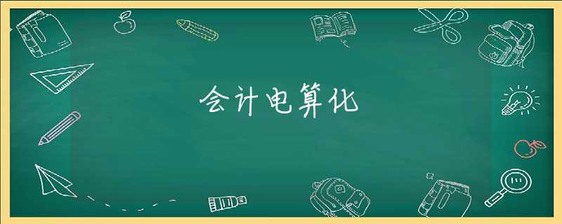 会计电算化 会计电算化