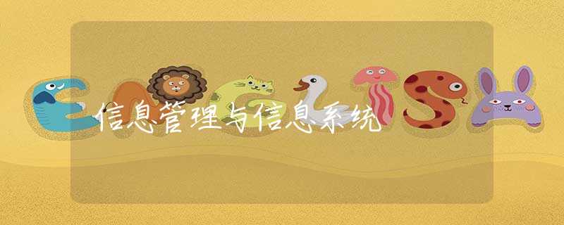 信息管理与信息系统