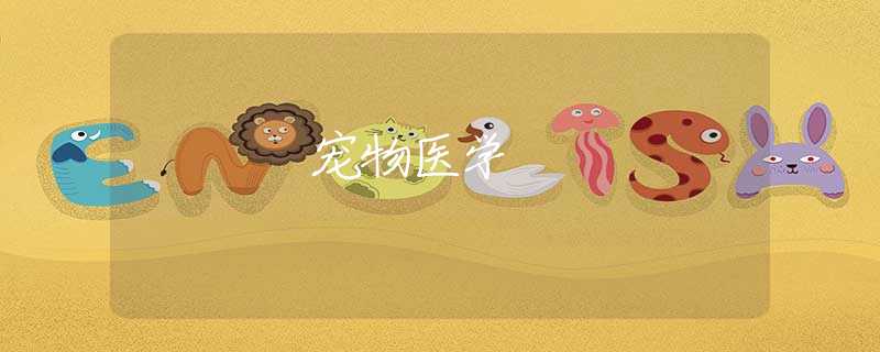 宠物医学