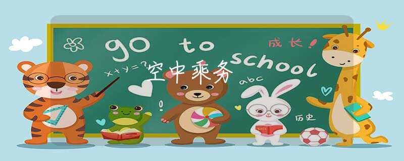 空中乘务 空中乘务