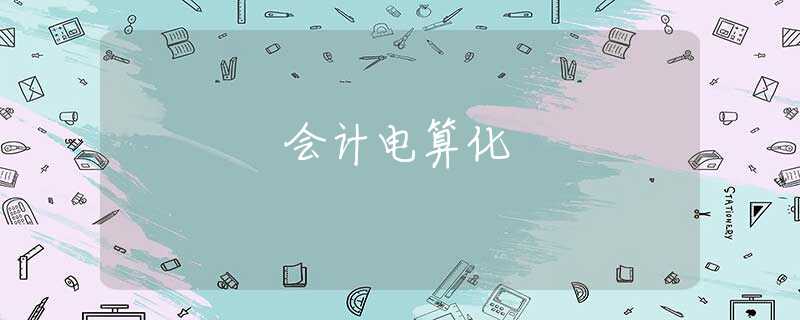 会计电算化 会计电算化