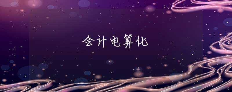 会计电算化 会计电算化