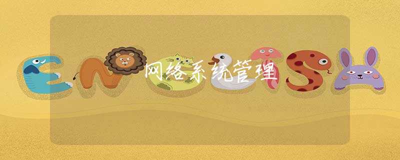 网络系统管理 网络系统管理