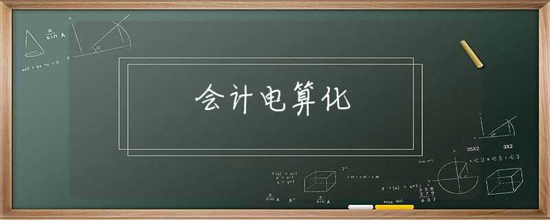会计电算化 会计电算化