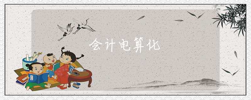 会计电算化 会计电算化