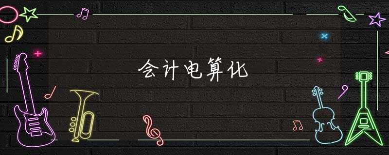 会计电算化 会计电算化