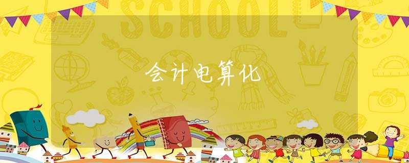 会计电算化 会计电算化