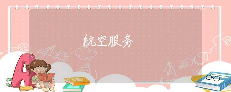 航空服务 航空服务
