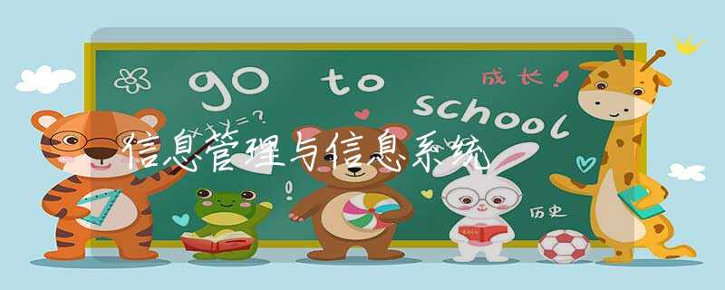 信息管理与信息系统