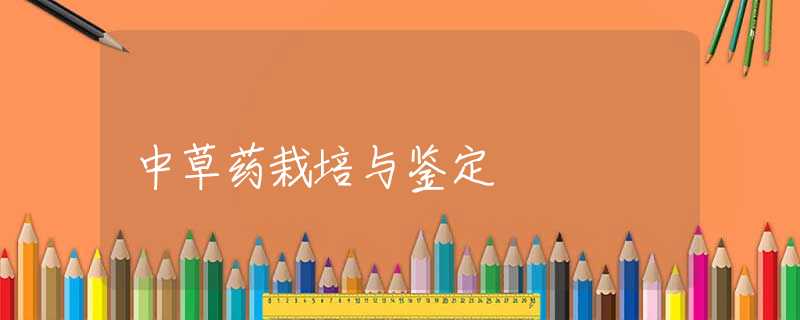 中草药栽培与鉴定 中草药栽培与鉴定