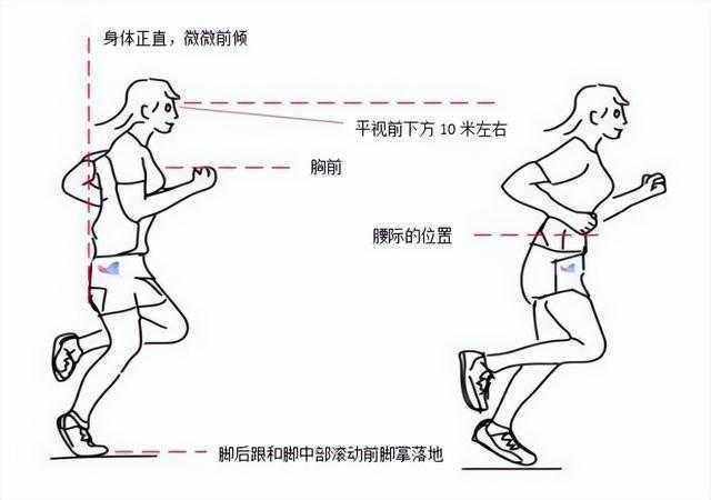 测试)——注意力集中(各就位)——快速跑出(枪声)——途中跑(快速摆臂