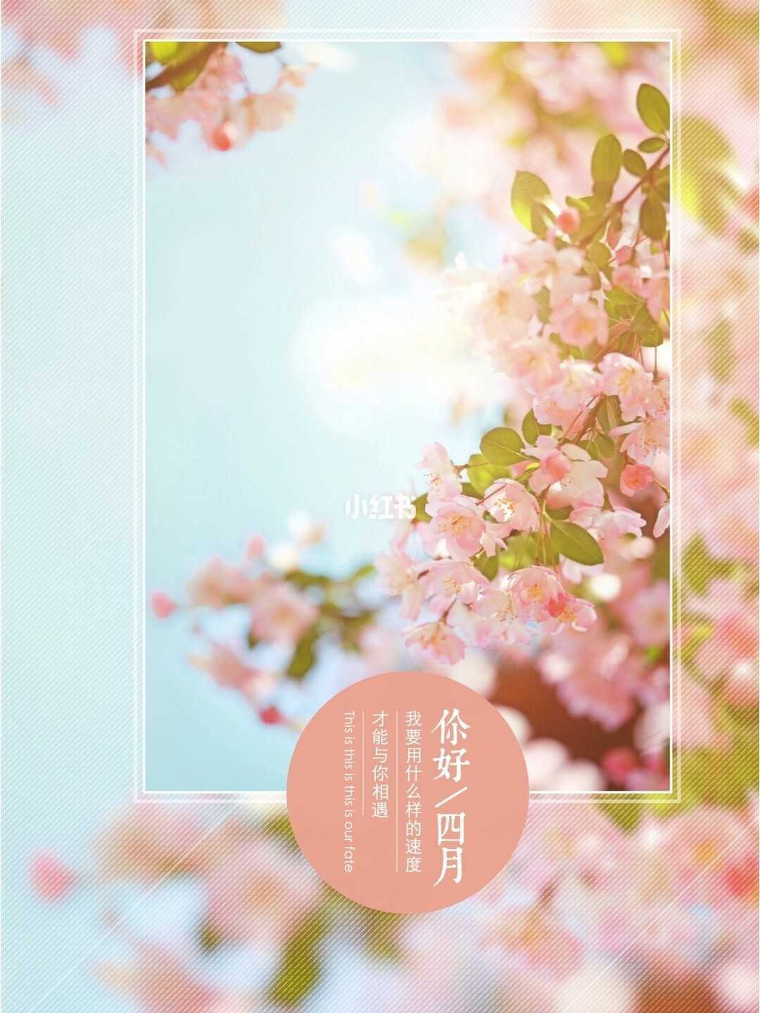 2014潮州中考成绩查询 潮州热线网中考分数查询_中考_冲刺中考满分作文全攻略（中考版）